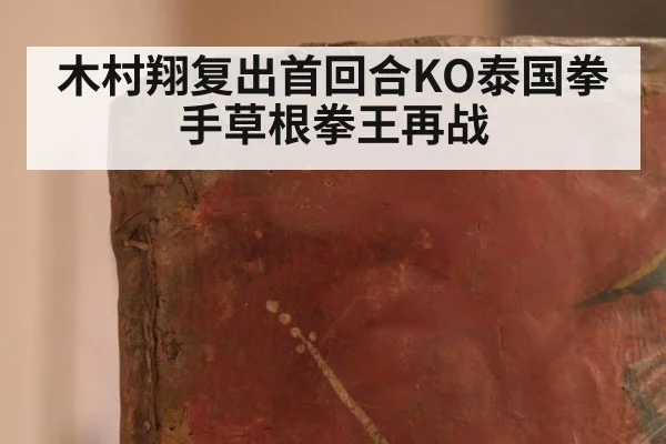 木村翔复出首回合KO泰国拳手草根拳王再战